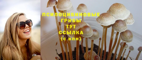 mdpv Ладушкин