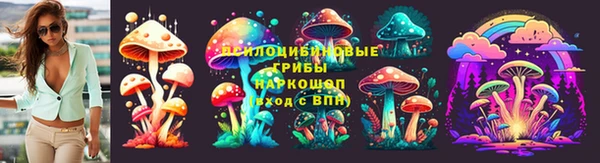 винт Баксан
