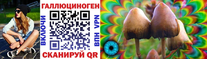 Галлюциногенные грибы Magic Shrooms Бобров